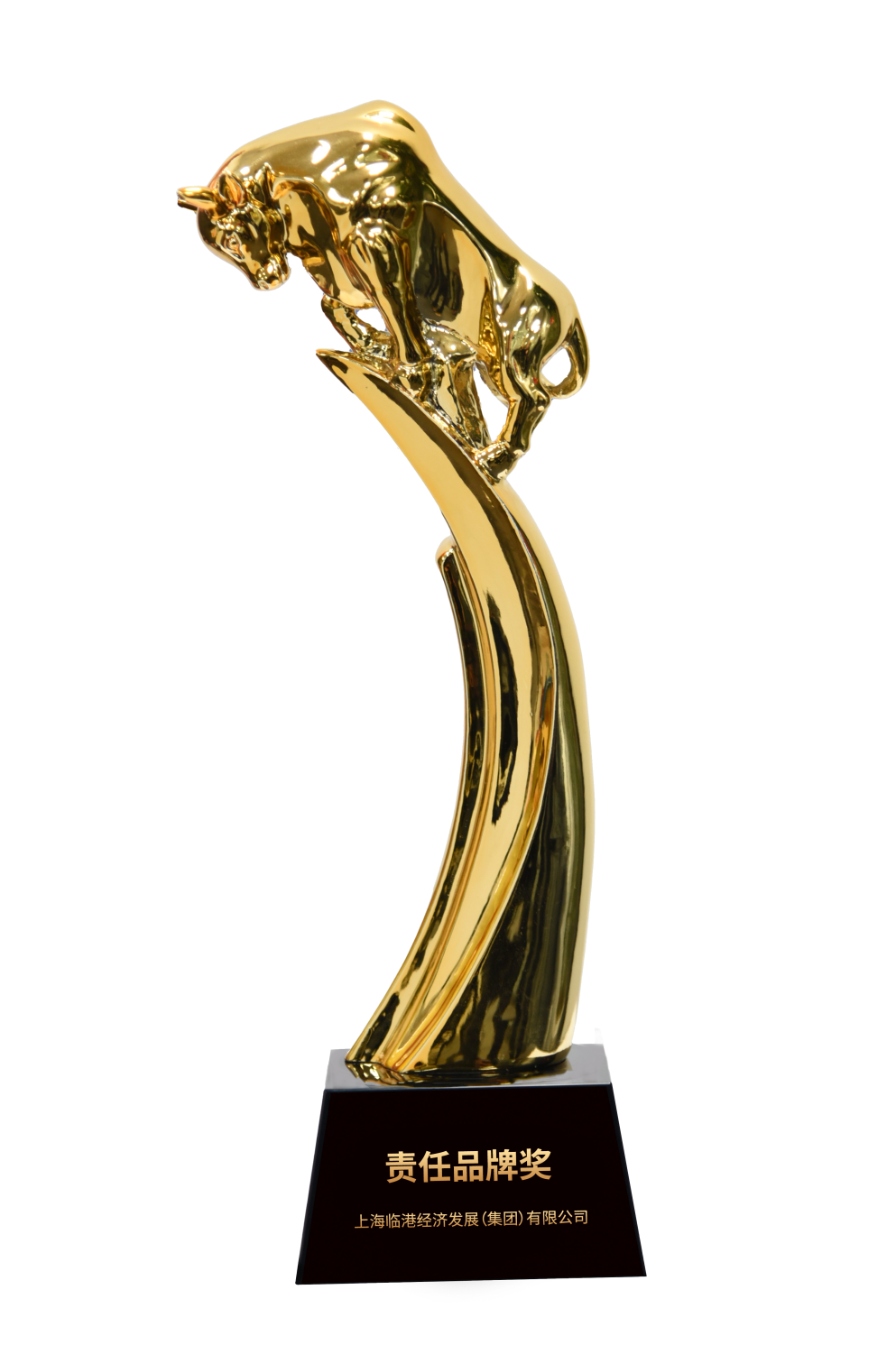 免费资料正版资料大全荣获2023年“责任品牌奖”