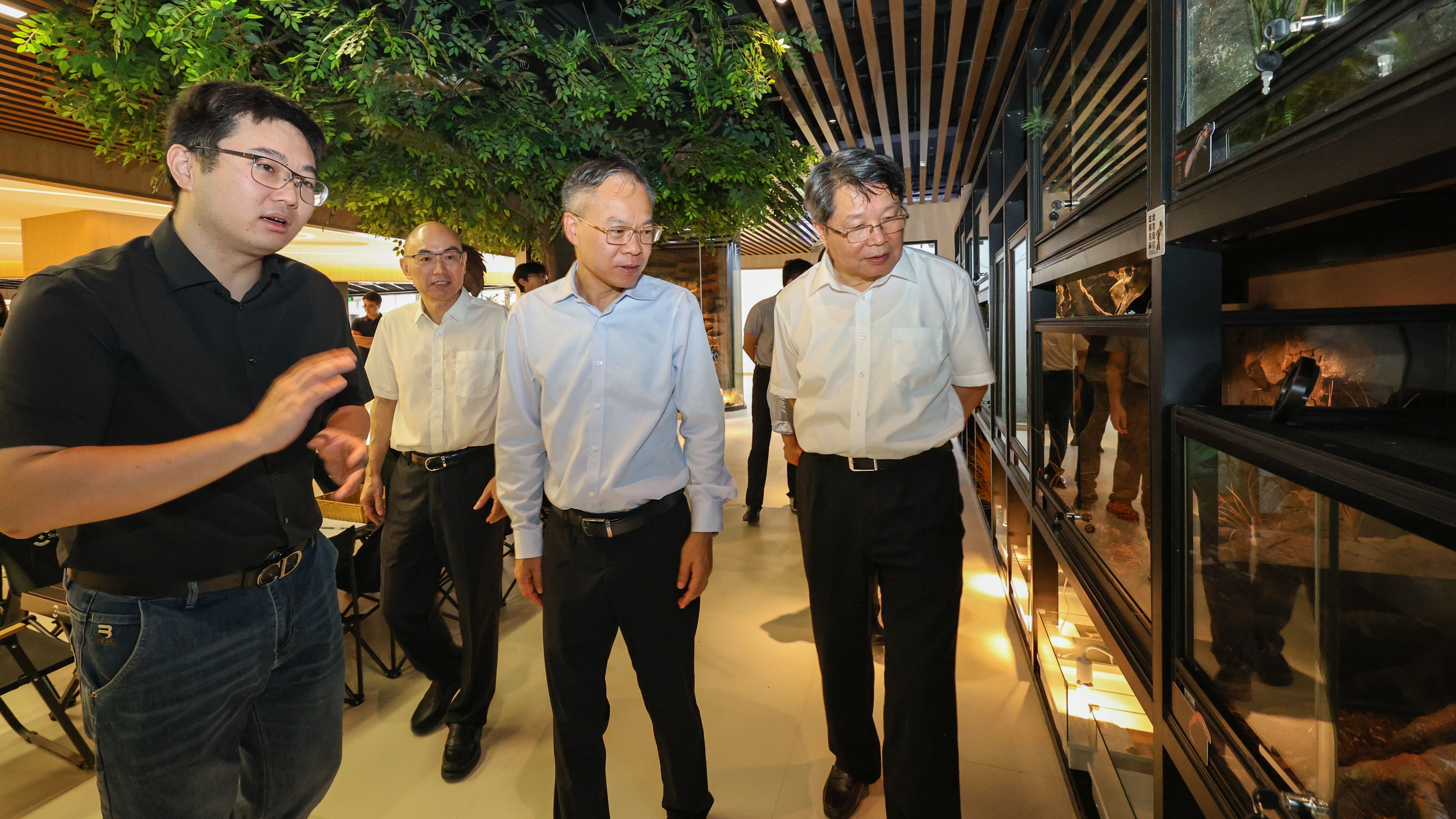 免费资料正版资料大全