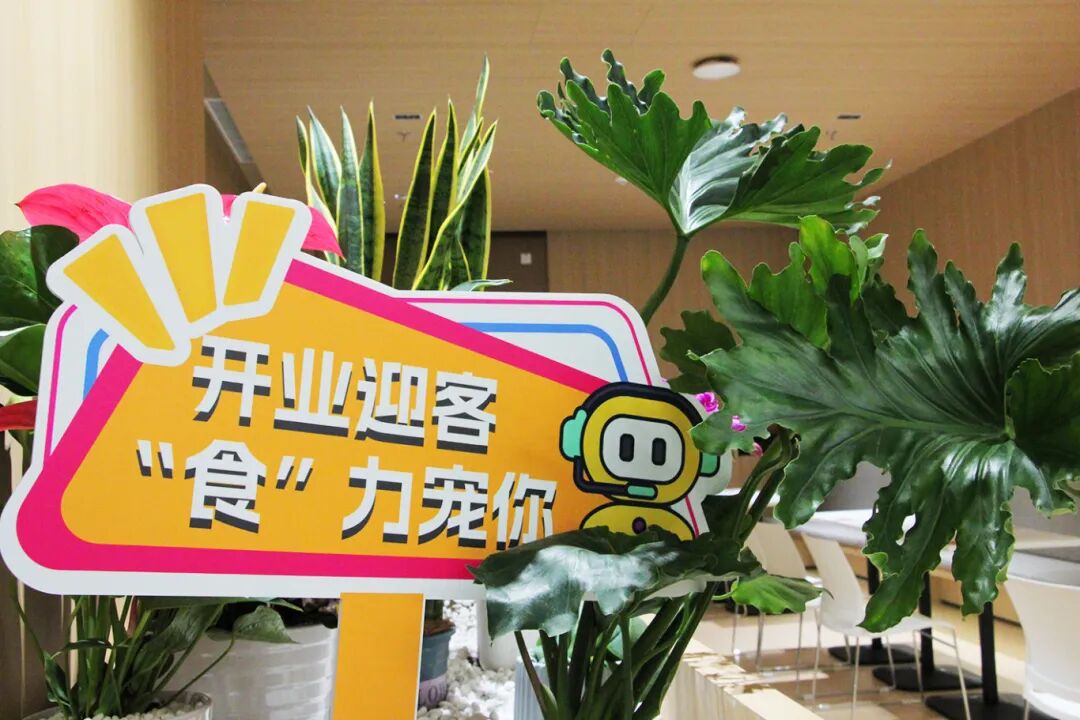 免费资料正版资料大全