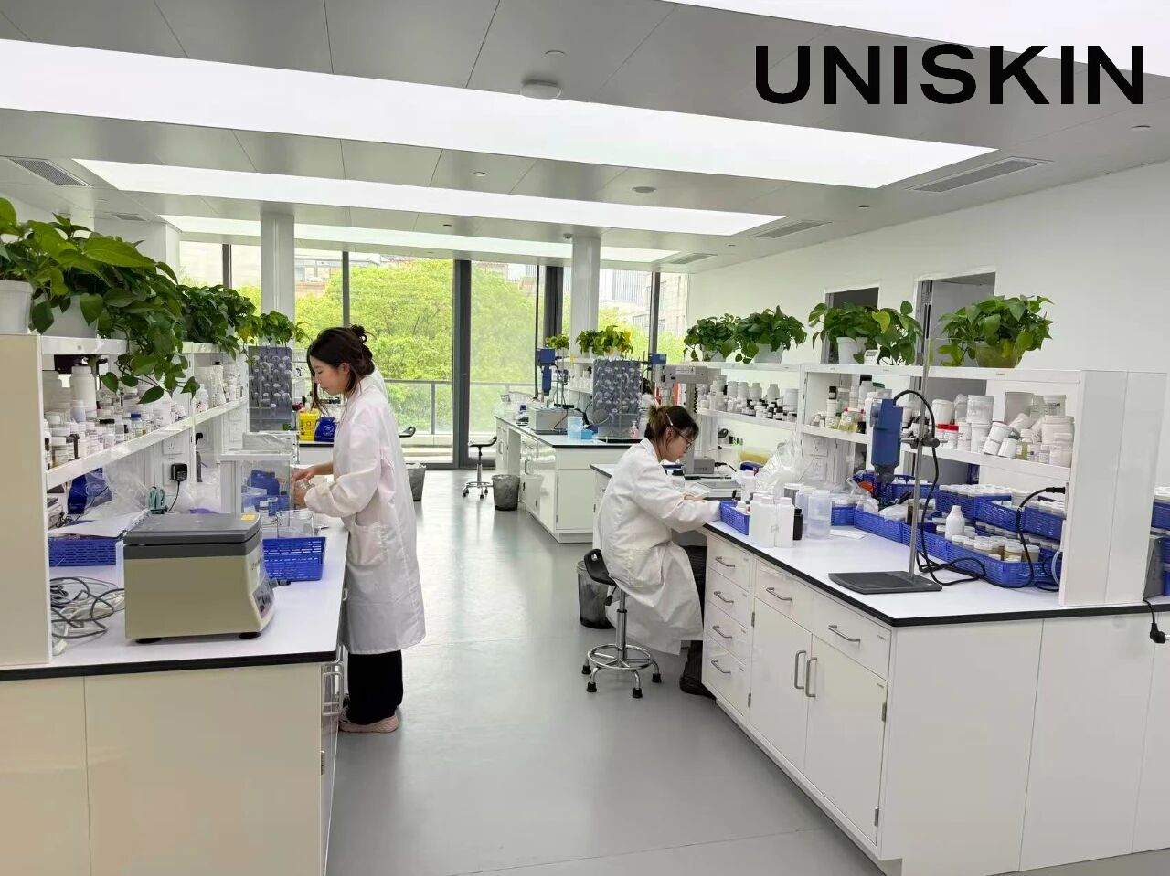 免费资料正版资料大全