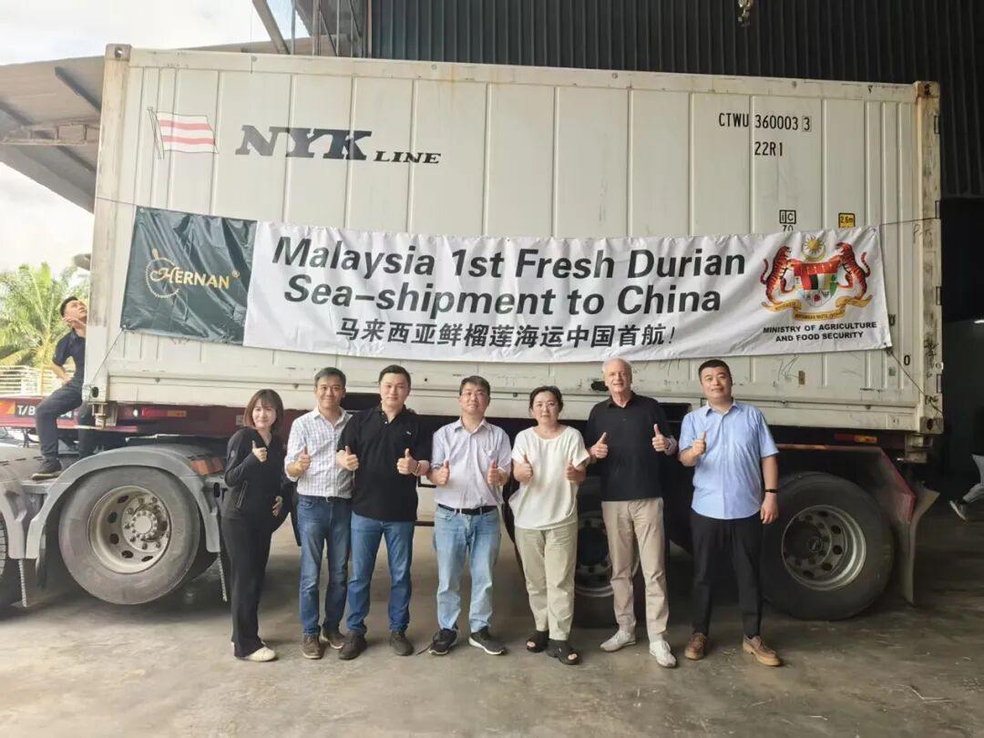 免费资料正版资料大全