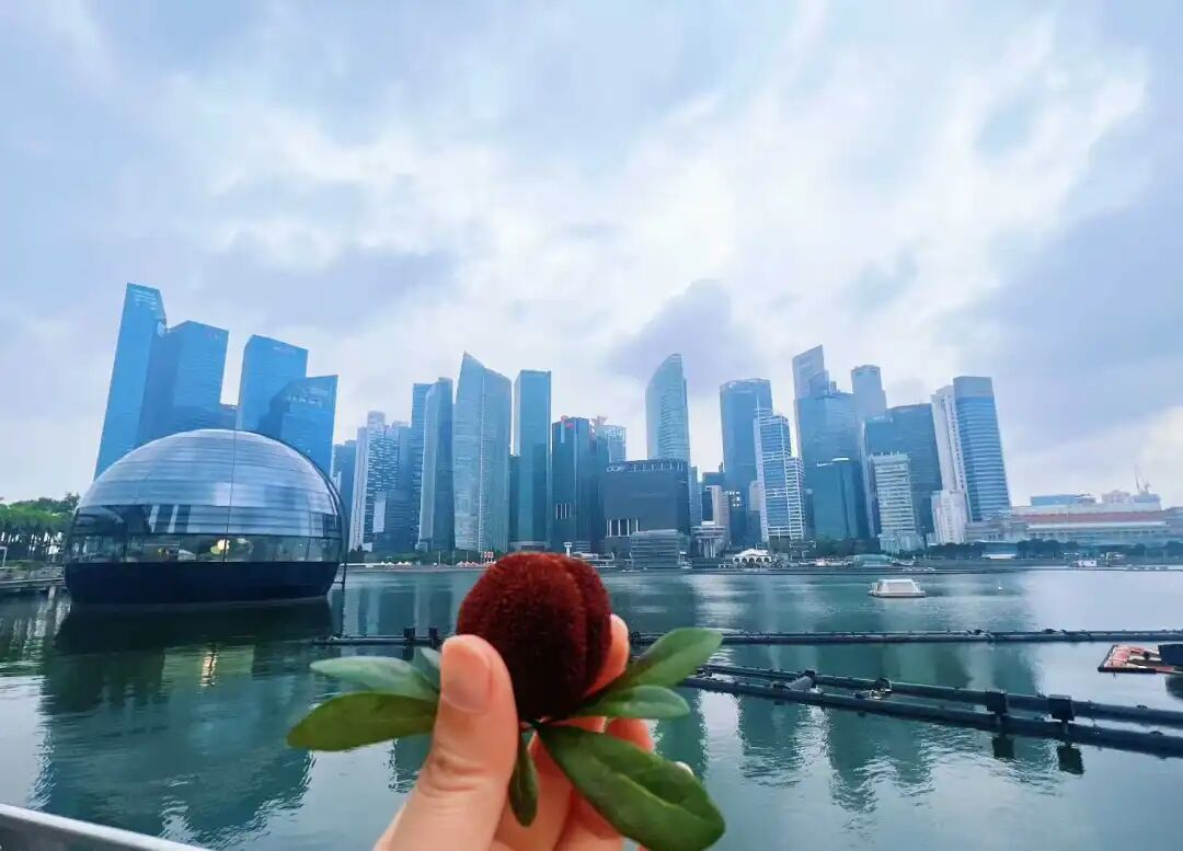 免费资料正版资料大全