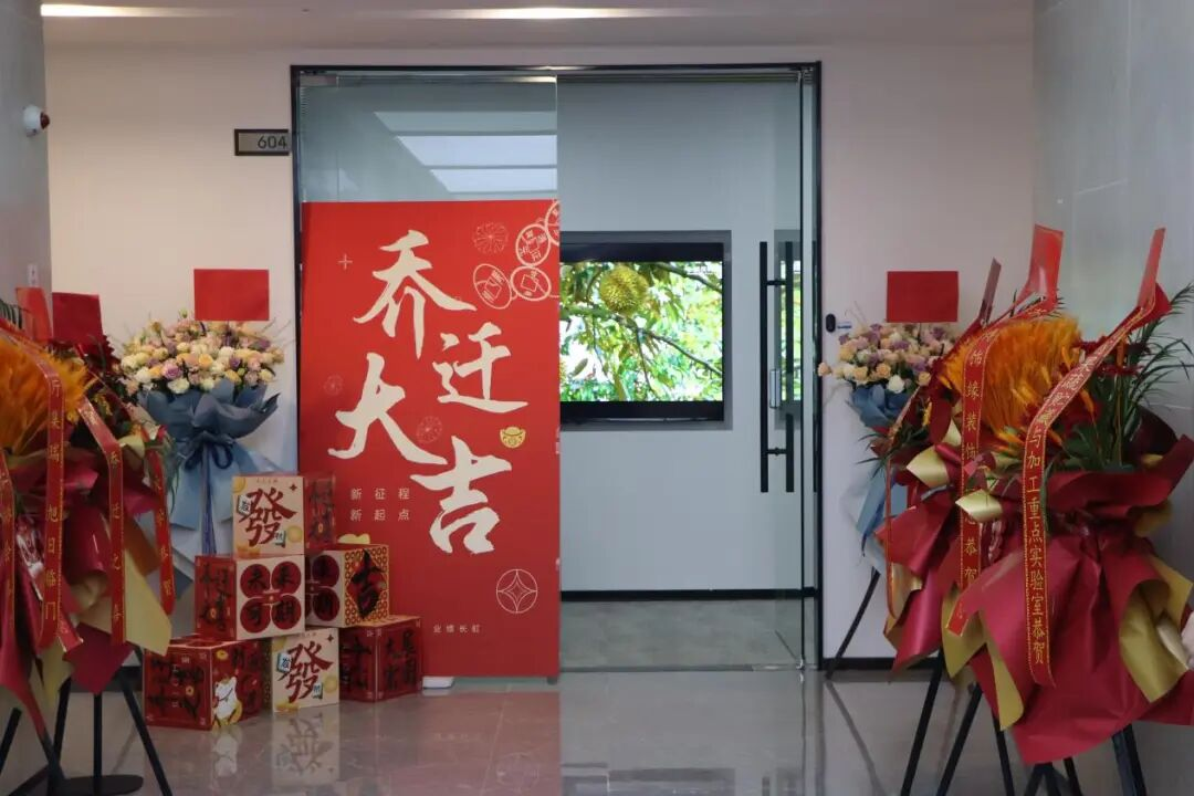 免费资料正版资料大全