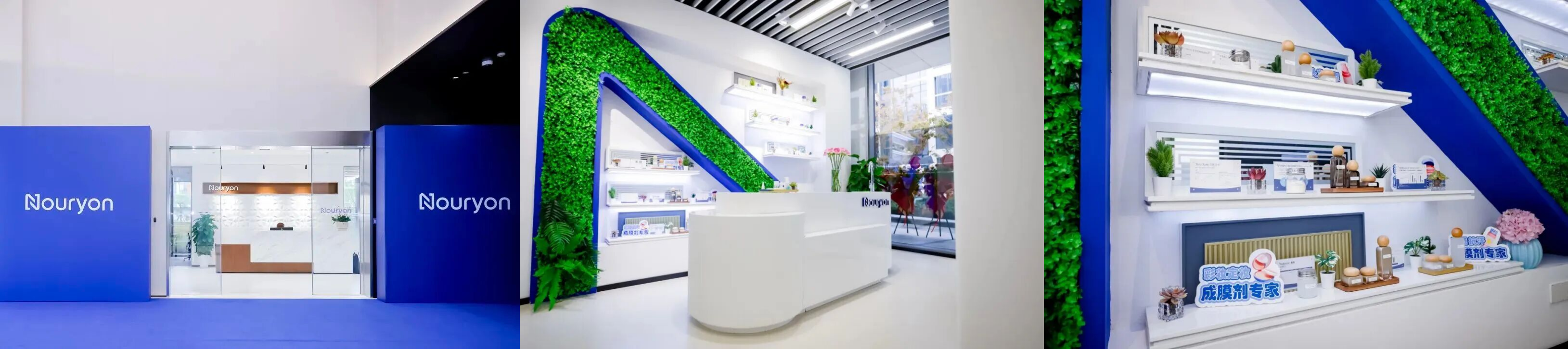 免费资料正版资料大全