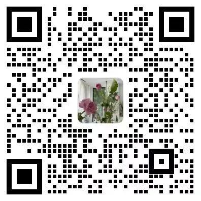 免费资料正版资料大全